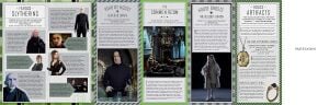 Harry Potter: Slytherin Magic - Artifacts from the Wizarding World : Slytherin Magic - Artifacts from the Wizarding World