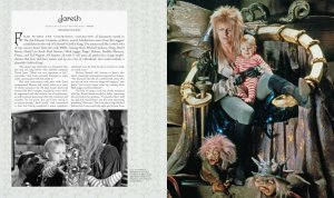 Labyrinth: The Ultimate Visual History HC