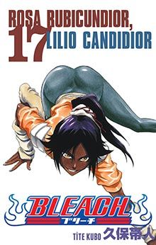 Bleach 17.Cilt