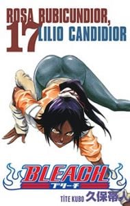 Bleach 17.Cilt