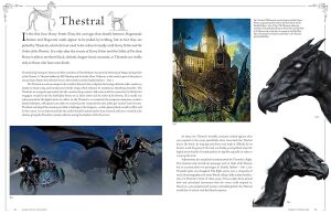 Harry  Potter  Film  Vault  Vol  1