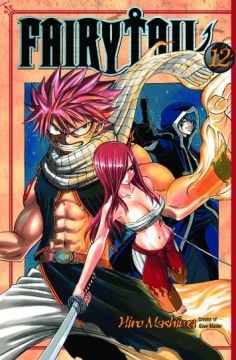 FAIRY TAIL GN VOL 12