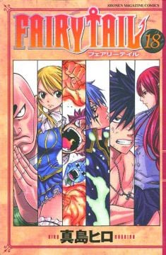 FAIRY TAIL GN VOL 18
