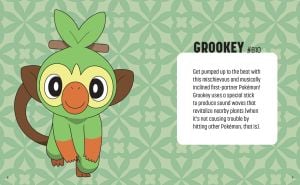 Pokémon: Trainer\'s Mini Exploration Guide to Galar