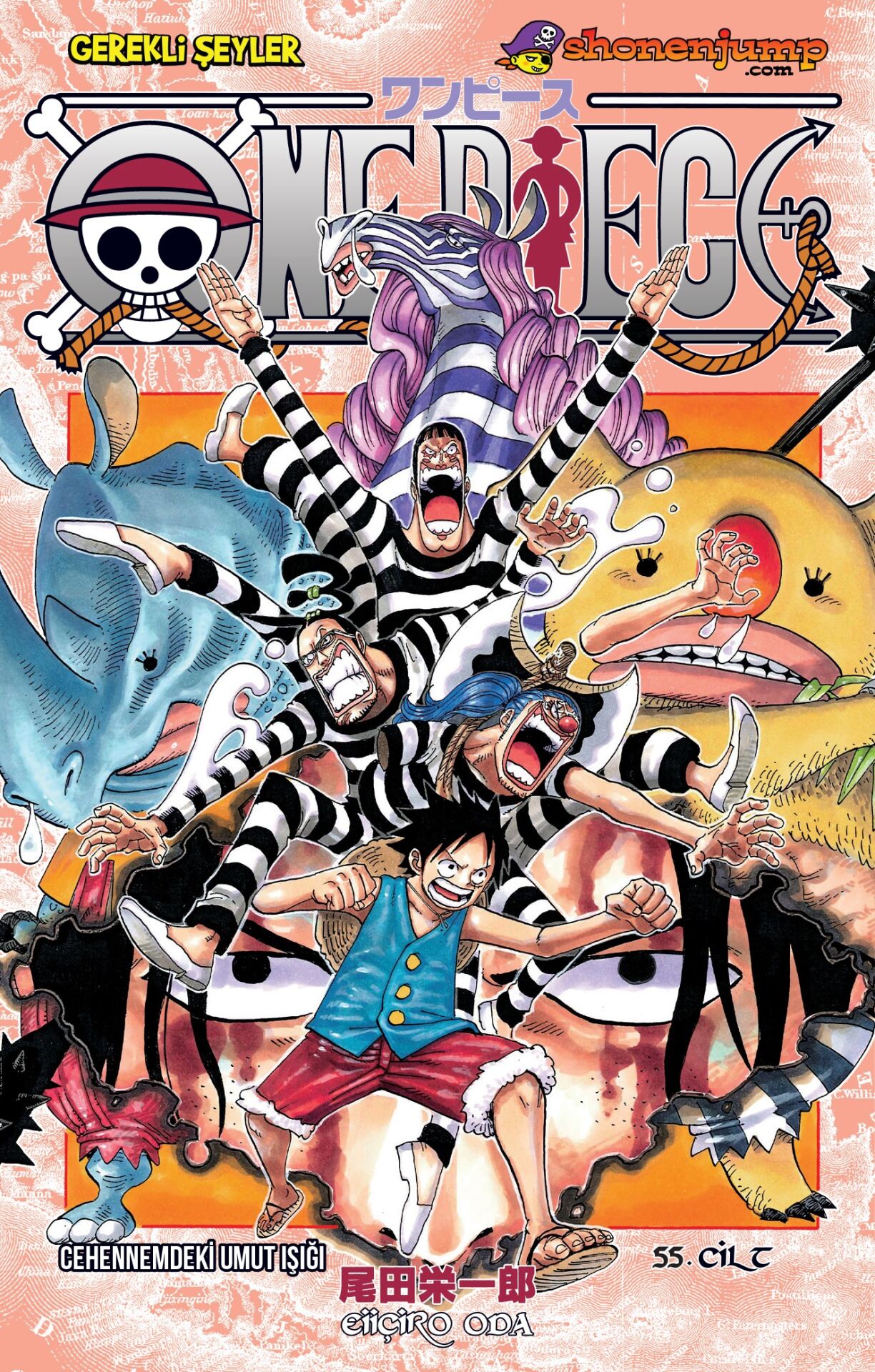 One Piece 55. Cilt