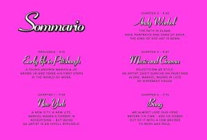 Andy Warhol: A Graphic Biography