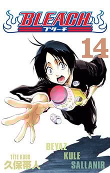 Bleach 14.Cilt