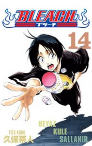 Bleach 14.Cilt
