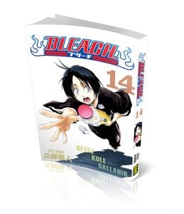 Bleach 14.Cilt