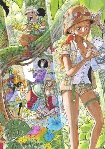 One Piece Color Walk 9 - Tiger