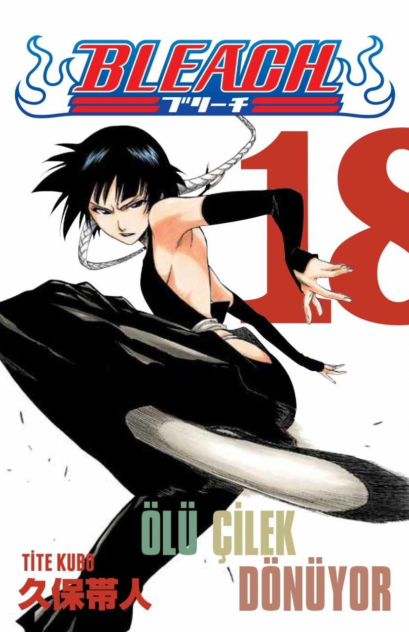 Bleach 18.Cilt