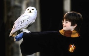 Harry Potter: The Postcard Collection HC
