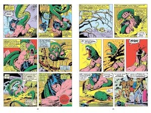 Conan the Barbarian: The Original Comics Omnibus Vol.2