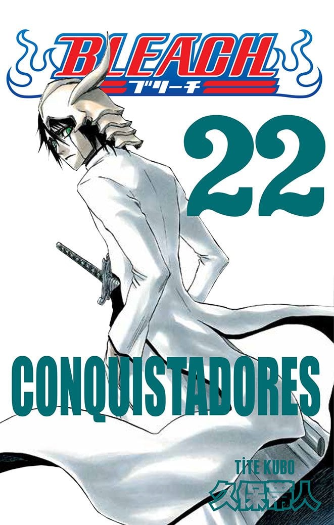 Bleach 22.Cilt