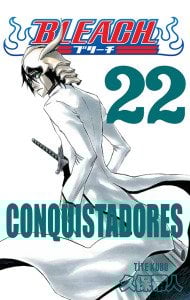 Bleach 22.Cilt