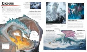 Dungeons and Dragons The Legend of Drizzt Visual Dictionary