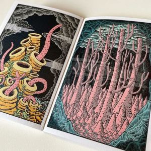 The Wilderness Collection