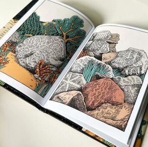 The Wilderness Collection