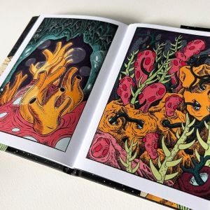 The Wilderness Collection