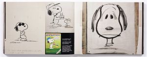 Only What's Necessary: Charles M. Schulz and the Art of Peanuts