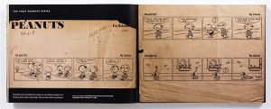 Only What's Necessary: Charles M. Schulz and the Art of Peanuts