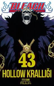 Bleach 43. Cilt