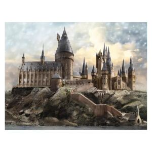 Harry Potter 300 Piece Jigsaw Puzzle in Tin Globe