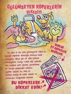 Disney Esrarengiz Kasaba-Günlük 3