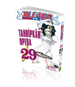 Bleach 29.Cilt