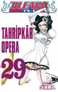 Bleach 29.Cilt