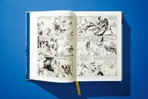 Marvel Comics Library. SpiderMan. Vol. 1. 1962–1964