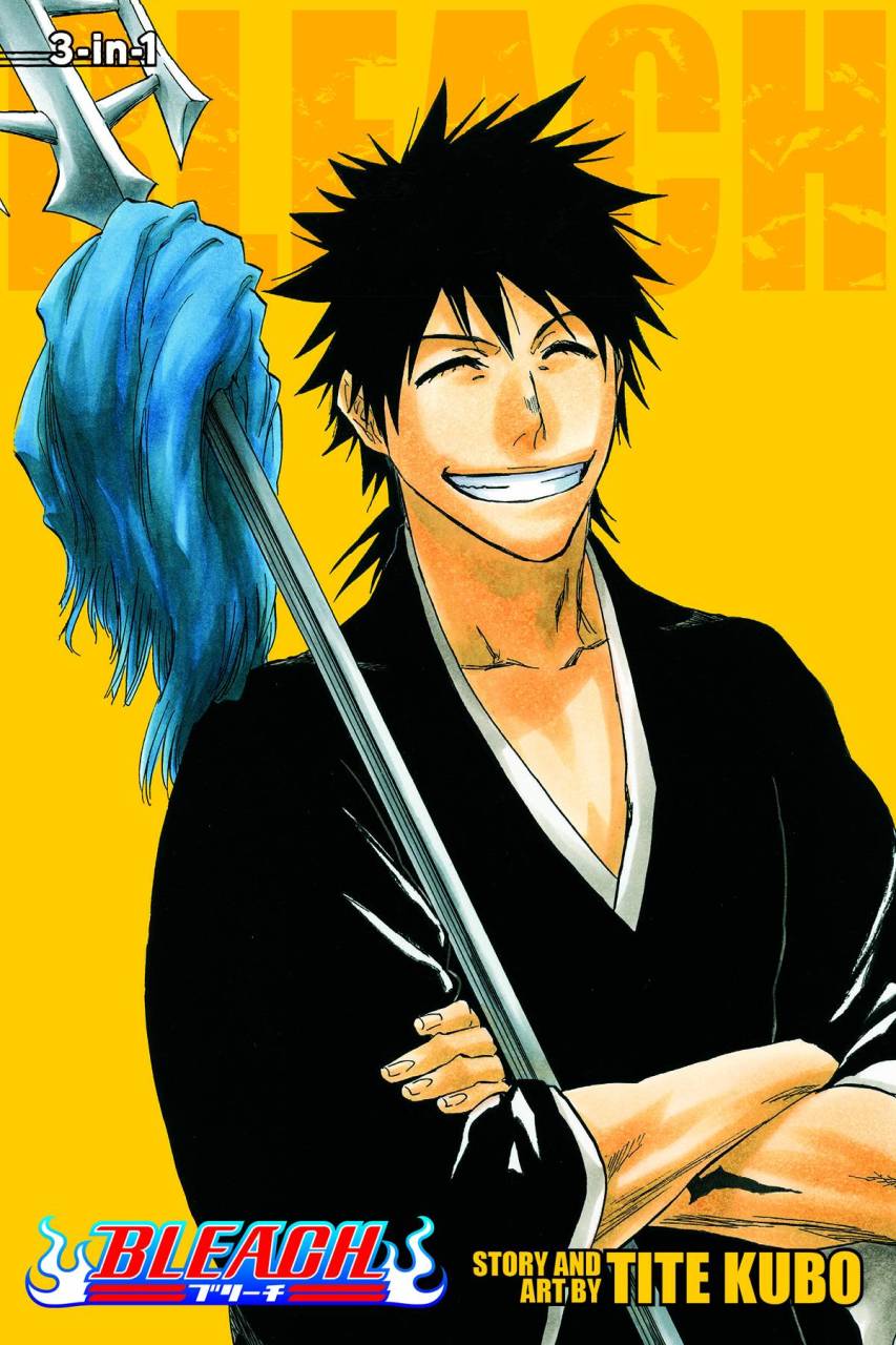 BLEACH 3-IN-1 Vol 10