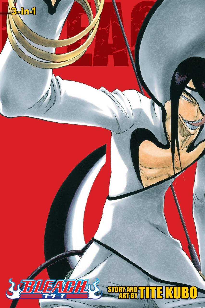 BLEACH 3-IN-1 Vol 11