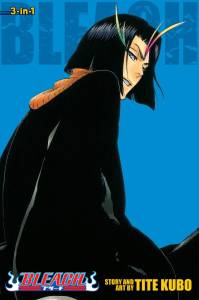 BLEACH 3-IN-1 Vol 13