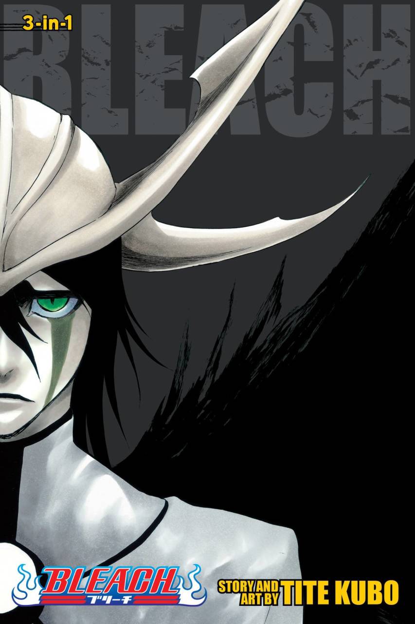 BLEACH 3-IN-1 Vol 14