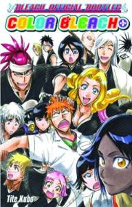 BLEACH:   COLOR   BLEACH