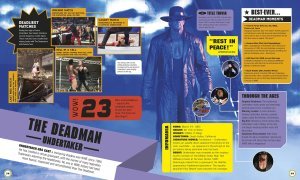 WWE Everything Need to Know