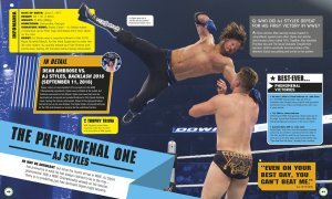 WWE Everything Need to Know