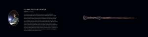 Harry Potter The Wand Collection Paperback