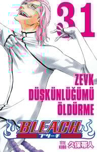 Bleach 31.Cilt