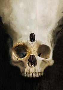 Bastien Lecouffe Deharme - BL8D