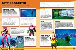 100% Unofficial Fortnite Annual 2026