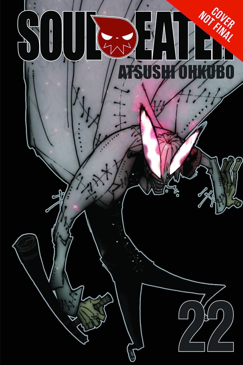 SOUL EATER TP VOL 22