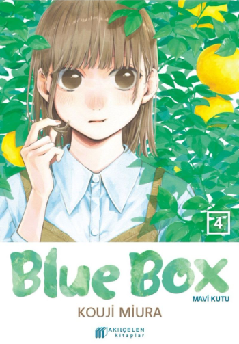 Blue Box - Mavi Kutu 4
