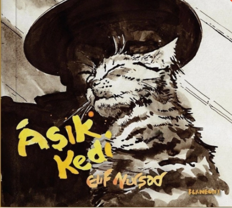 AŞIK KEDİ