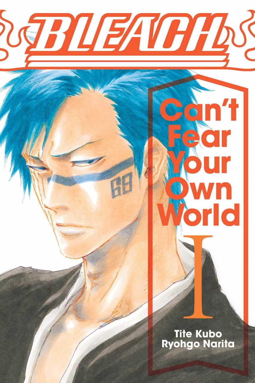 Bleach: Can\'t Fear Your Own World, Vol. 1