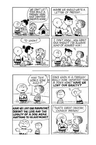 Snoopy Boxed Set