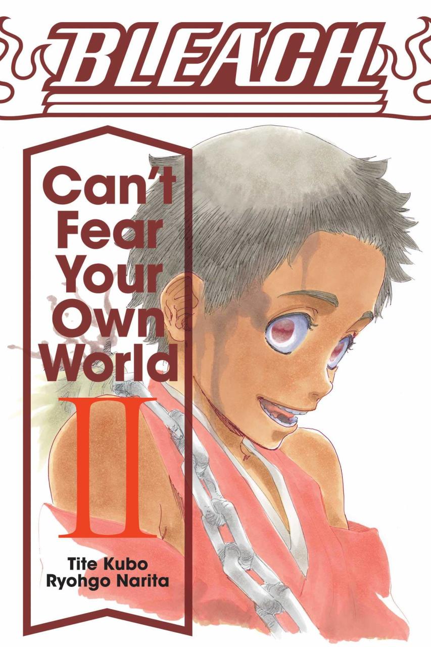 Bleach: Can\'t Fear Your Own World, Vol. 2