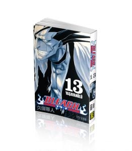 Bleach 13.Cilt