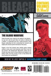 BLEACH 3- IN-1TP VOL 19
